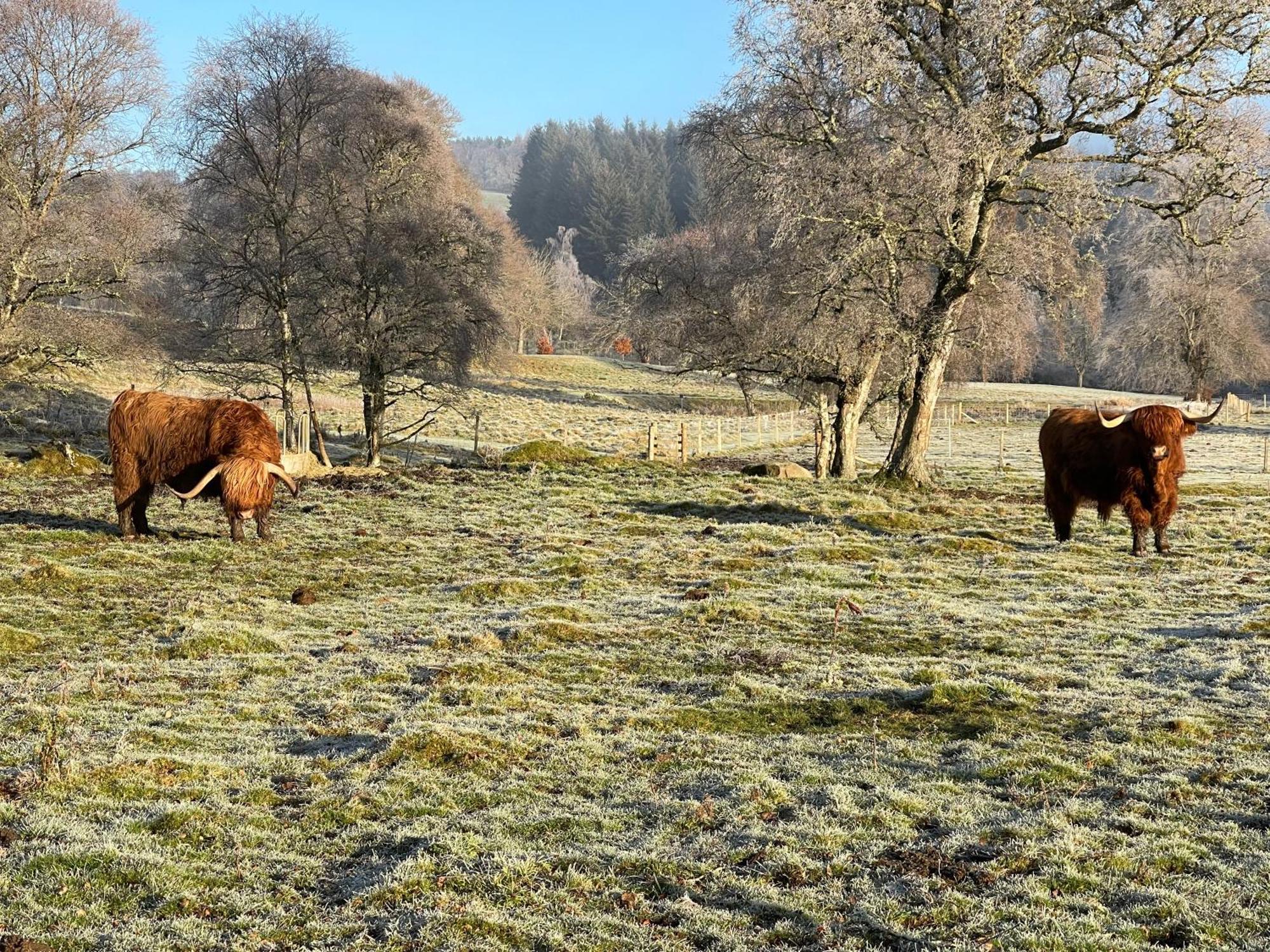 Coppice Cottage Grantown-on-Spey Luaran gambar