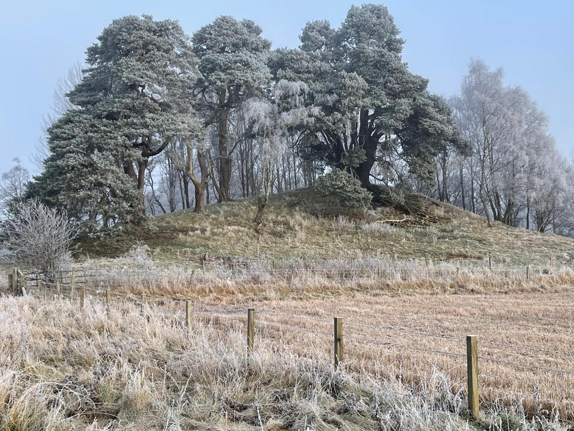 Coppice Cottage Grantown-on-Spey Luaran gambar