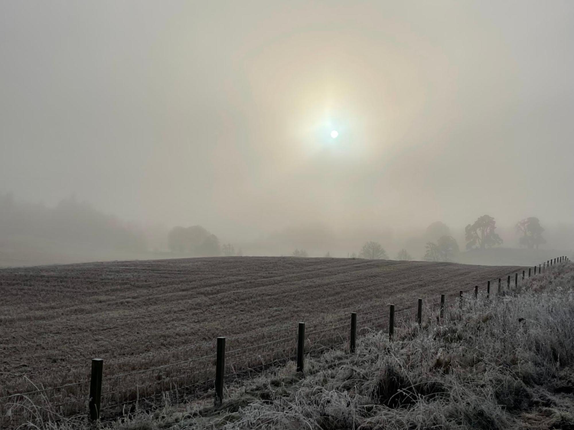 Coppice Cottage Grantown-on-Spey Luaran gambar